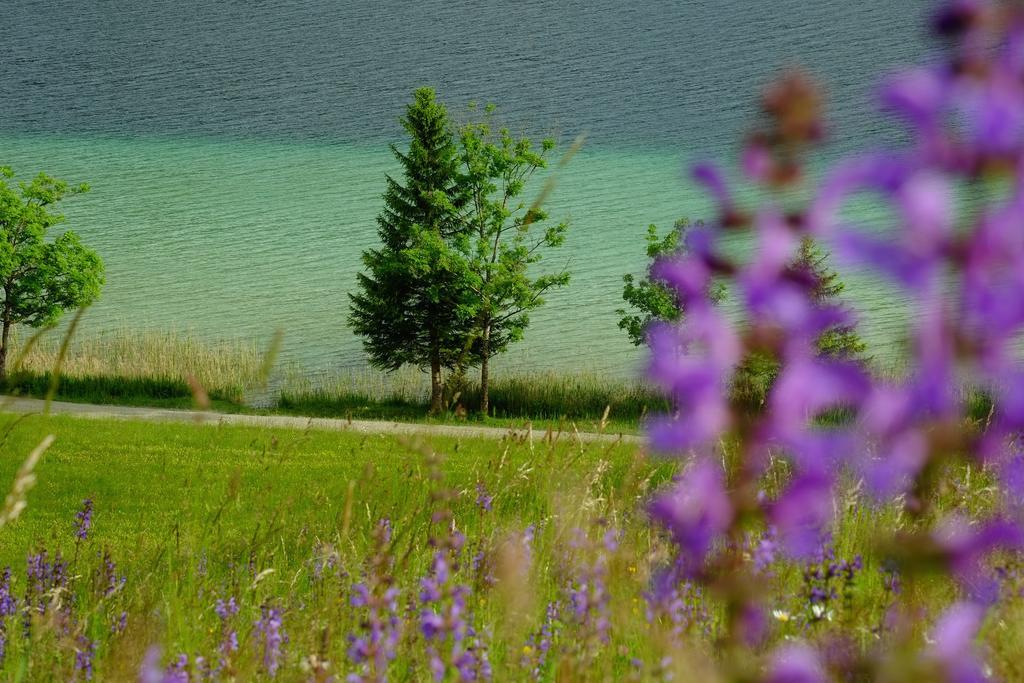 Draxl-Hof Ferienwohnungen Weissensee Eksteriør bilde